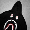 IMG_0889 BAPE Black Hoodie